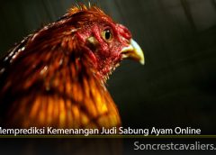 Cara Memprediksi Kemenangan Judi Sabung Ayam Online